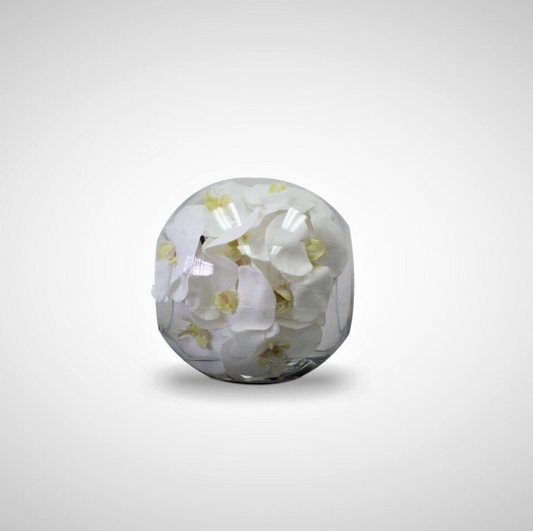 Crosswinds Glass Vase with White Orchids