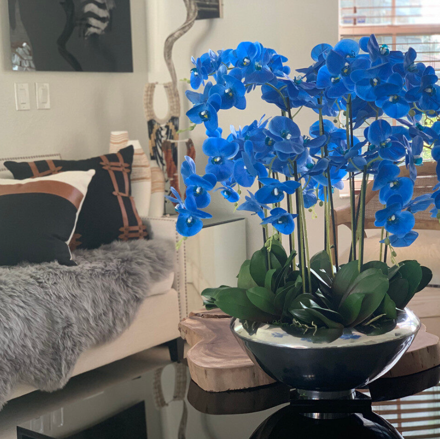 Avenue Bowl with Blue Phalaenopsis Orchids