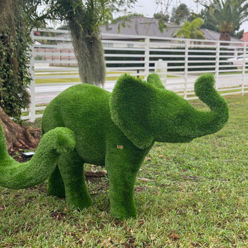 Small Elephant