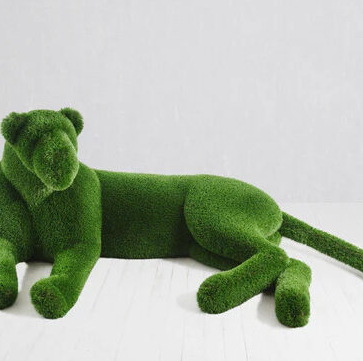 Lying Lioness