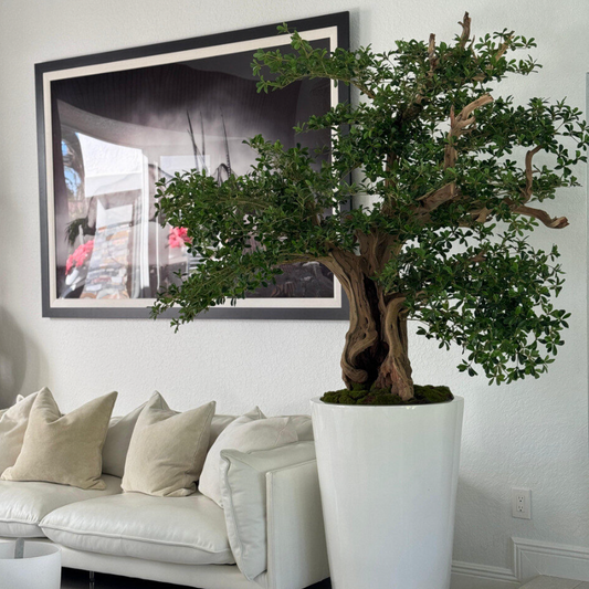 Artificial Black Olive Bonsai Tree in Glossy White Belle Planter